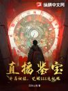 直播鉴宝:开局被绿,觉醒SSS透视眼